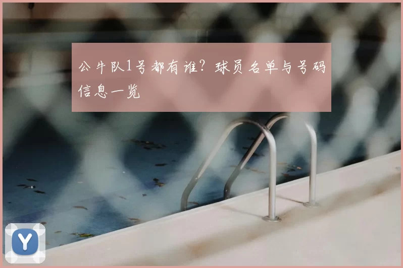 公牛队1号都有谁？球员名单与号码信息一览