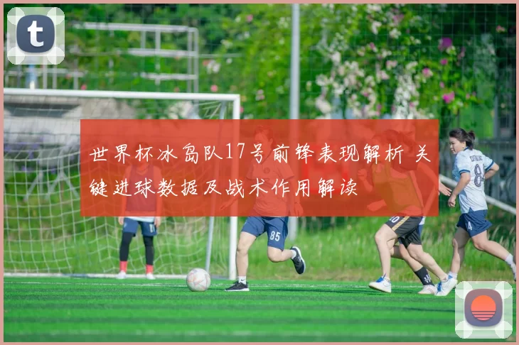 世界杯冰岛队17号前锋表现解析 关键进球数据及战术作用解读