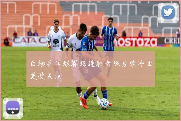 白杨乒乓球赛场连胜晋级后续冲击更受关注