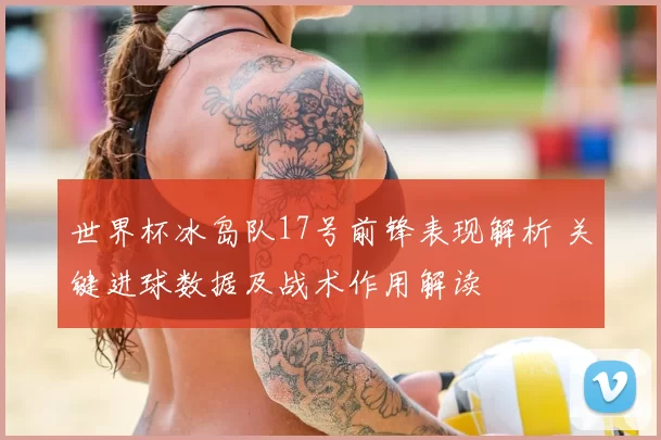 世界杯冰岛队17号前锋表现解析 关键进球数据及战术作用解读