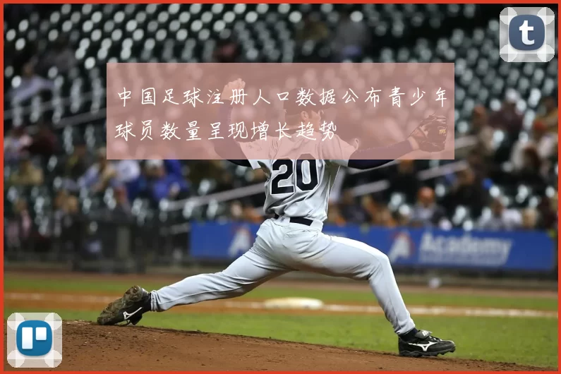 中国足球注册人口数据公布青少年球员数量呈现增长趋势