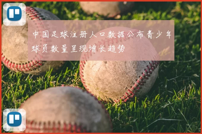 中国足球注册人口数据公布青少年球员数量呈现增长趋势