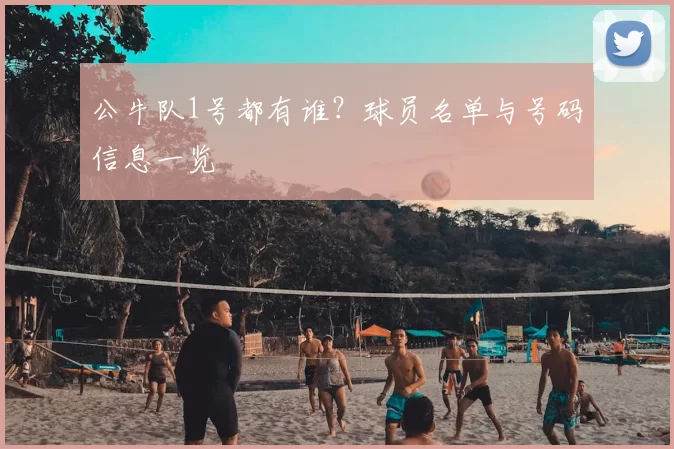 公牛队1号都有谁？球员名单与号码信息一览