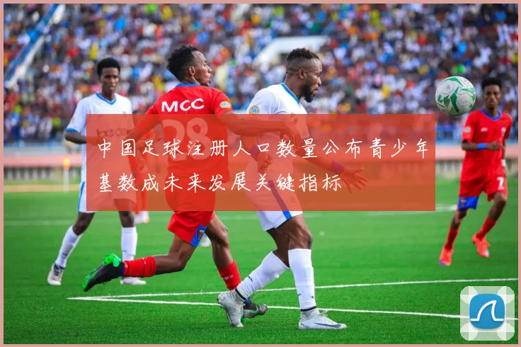 中国足球注册人口数量公布青少年基数成未来发展关键指标
